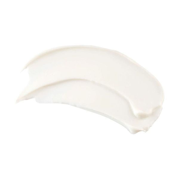 TiZO Photoceutical Skincare AM Replenish Non‑Tinted SPF 40 &mdash; Денний зволожувальний крем без відтінку, 50 г Т-019 фото